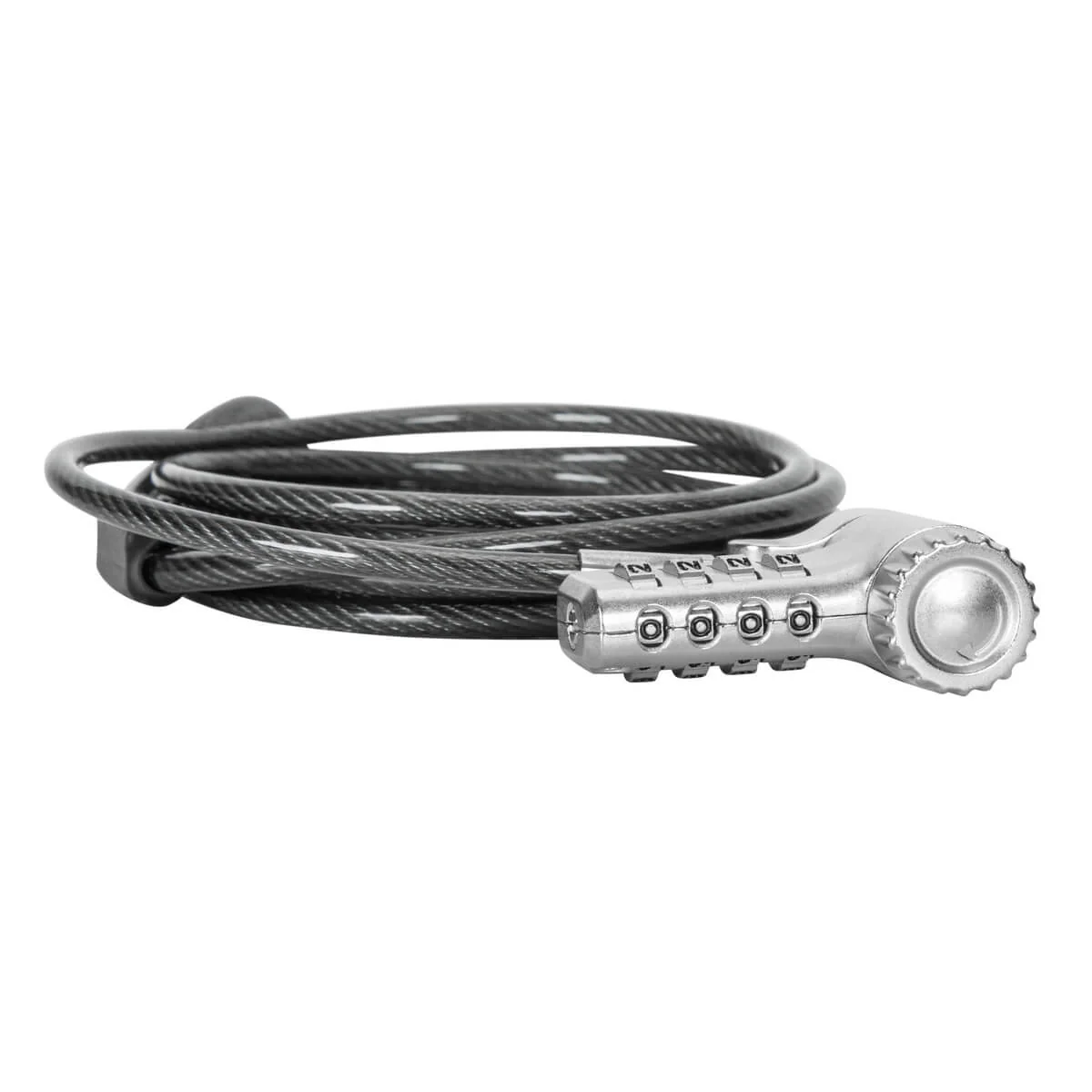 Miniatura 12