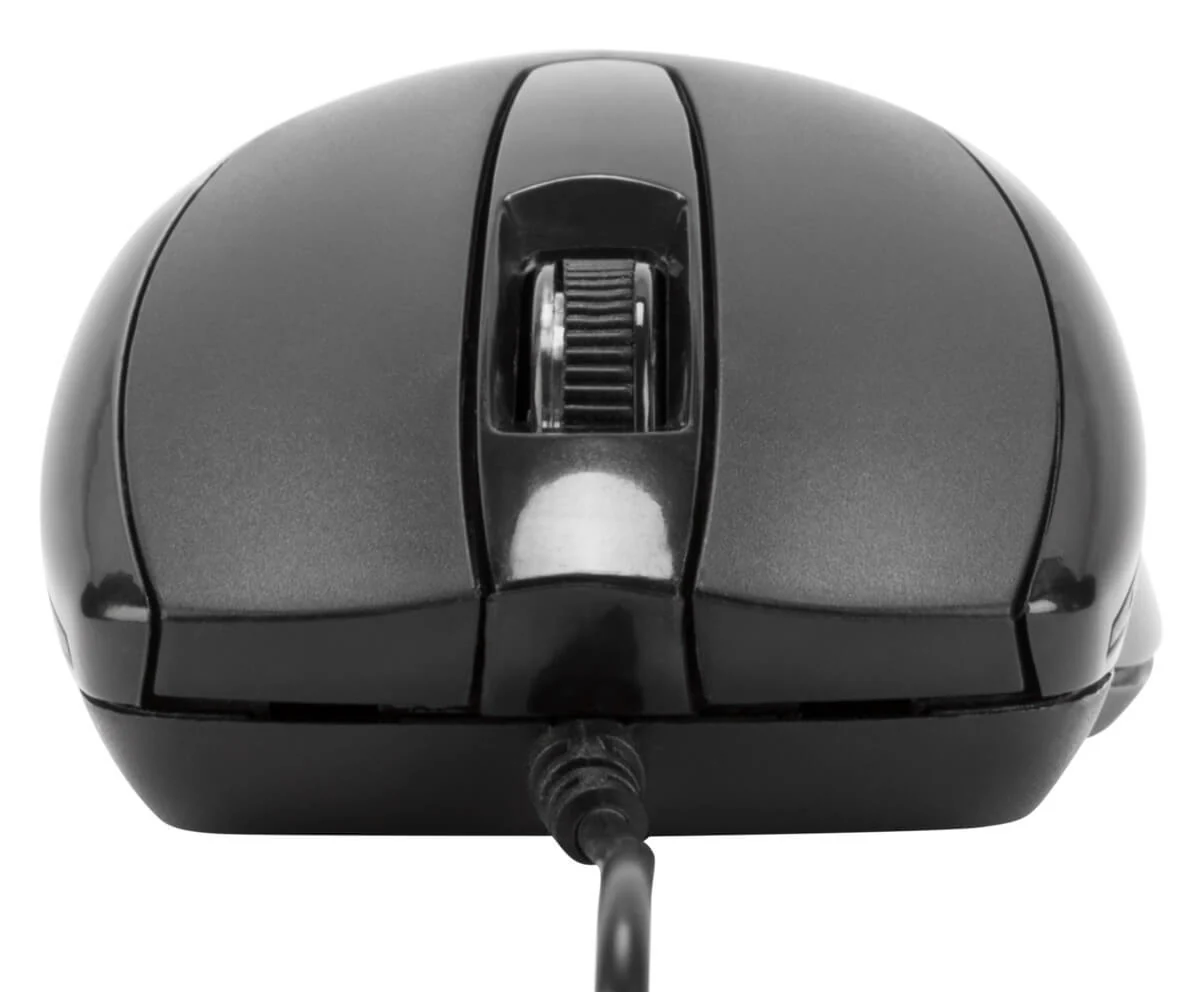 Miniatura 12